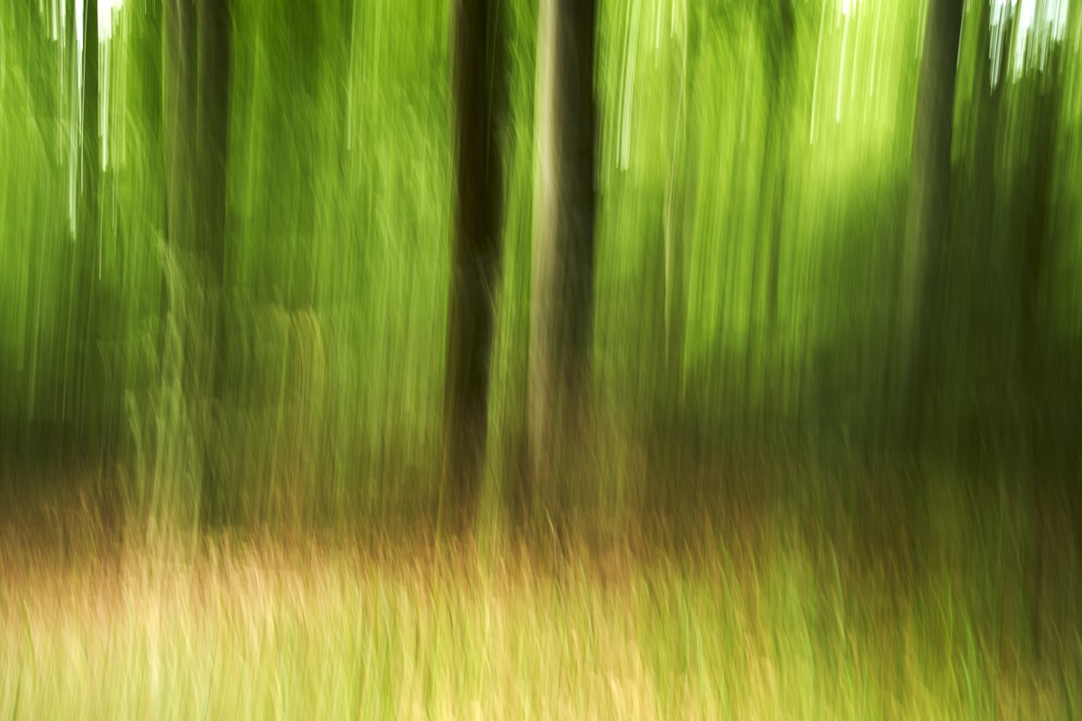 Forest Cemetery by Rolf Florschuetz  Image: ICM Photography