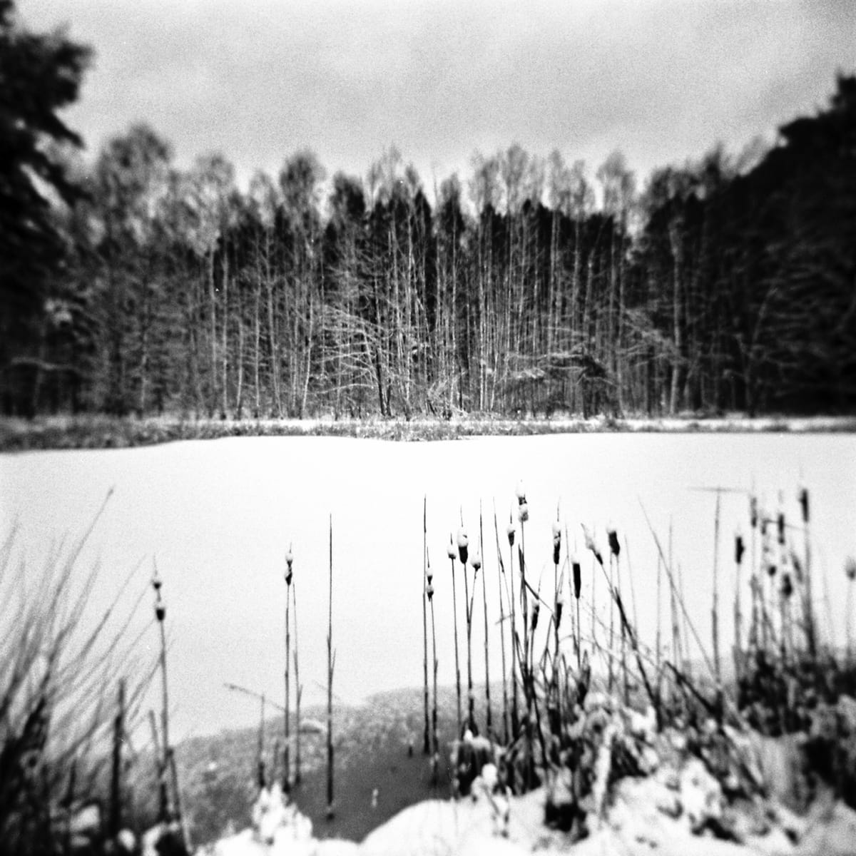 Winterday at the Pond by Rolf Florschuetz  Image: Analog on Film