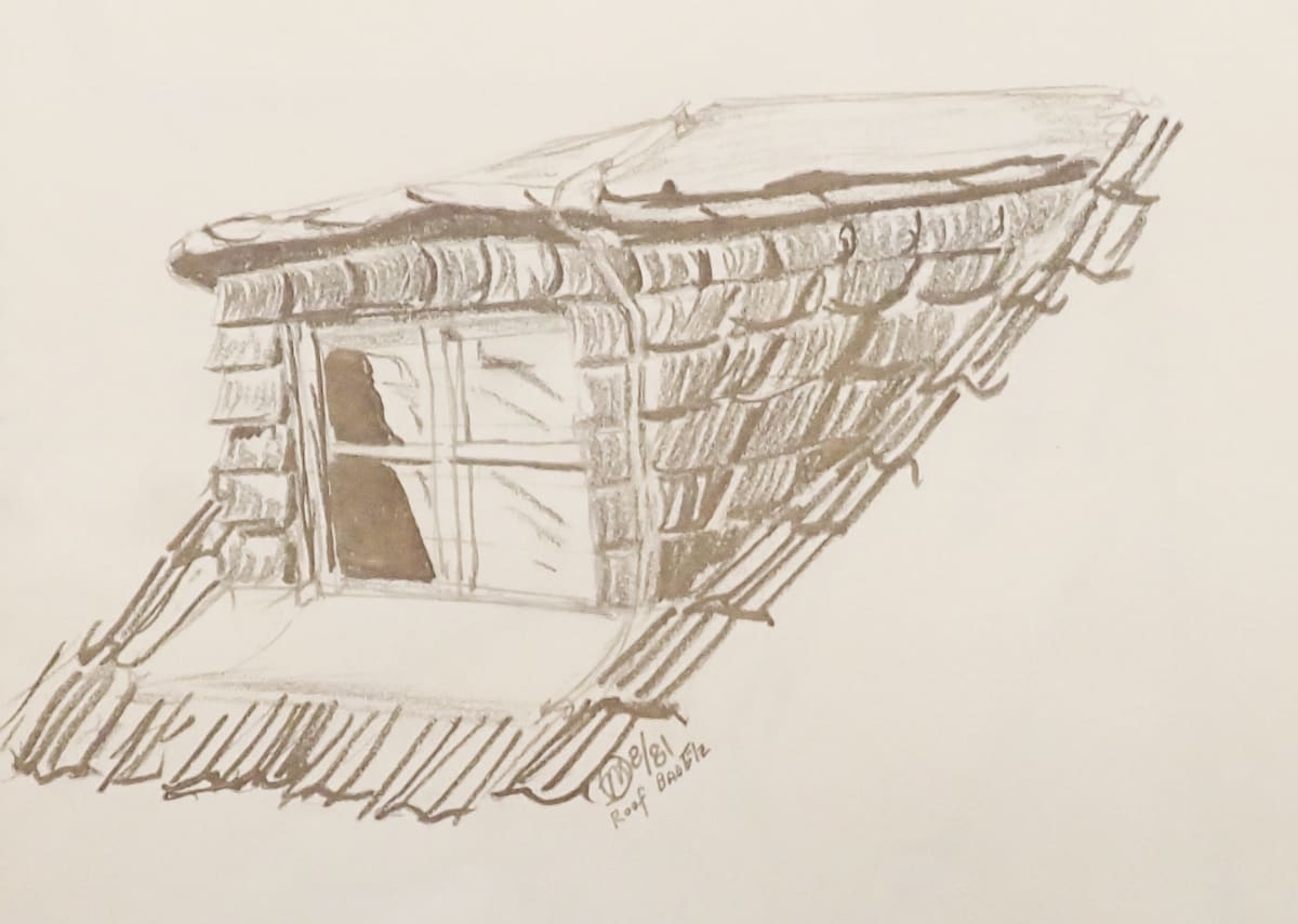 Attic Windows by Thomas Sundberg 