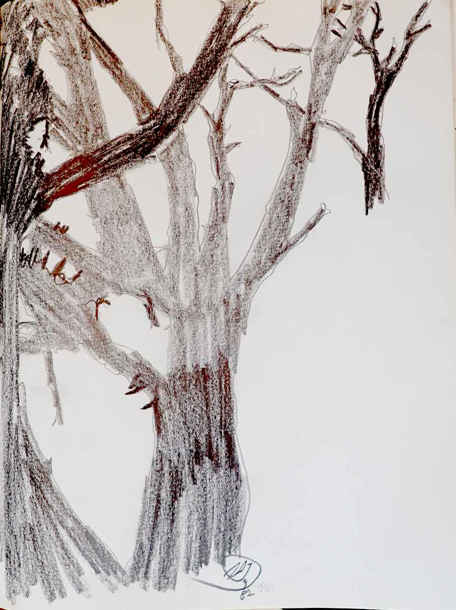 Trees by Thomas Sundberg, Image 3.