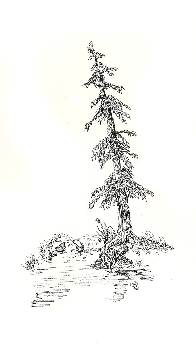 Leaning Tree by Thomas Sundberg 