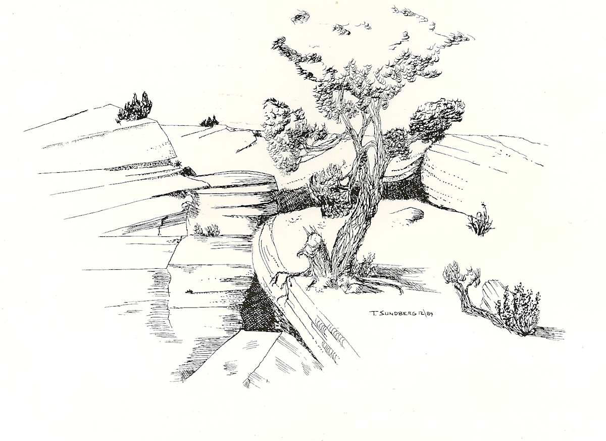 Copper Cove by Thomas Sundberg, Image 2.