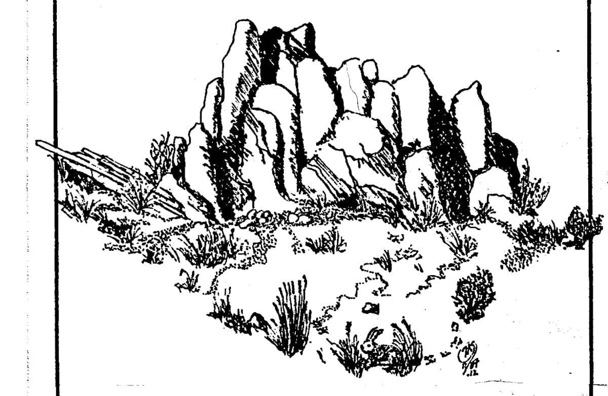 Rabbit by Thomas Sundberg, Image 5.