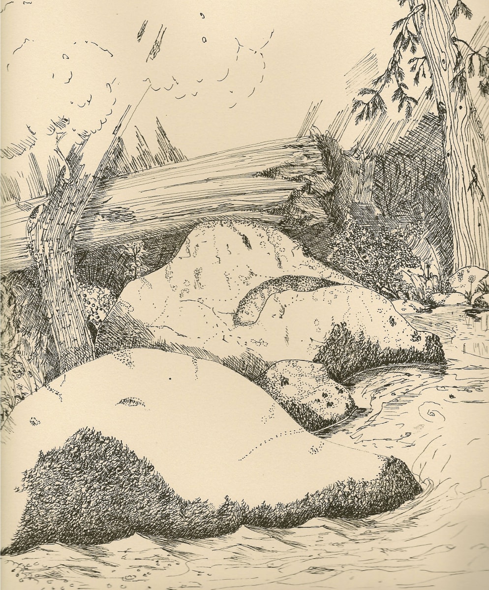 Chilnualna Creek by Thomas Sundberg 