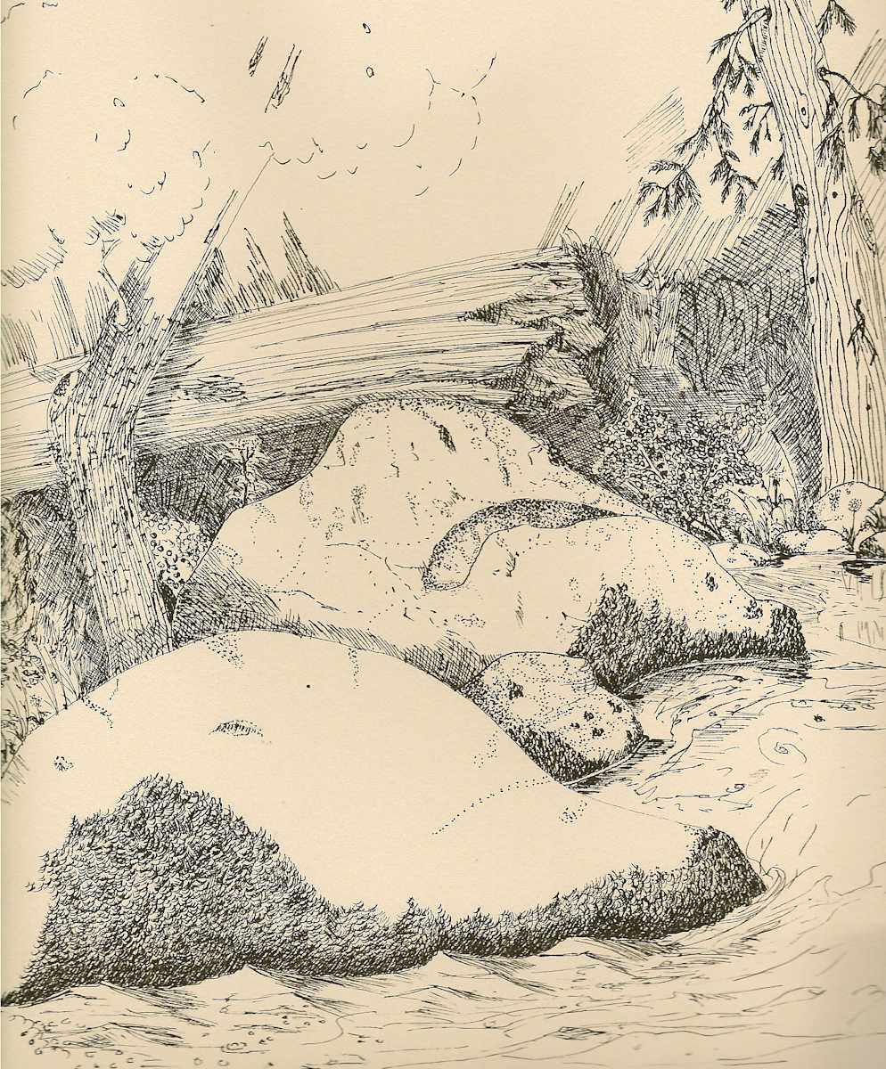 Chilnualna Creek by Thomas Sundberg, Image 1.