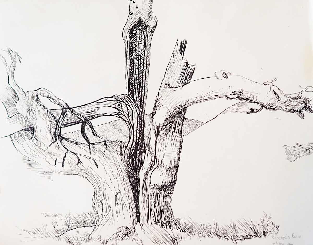 Rancheria Road by Thomas Sundberg, Image 3.