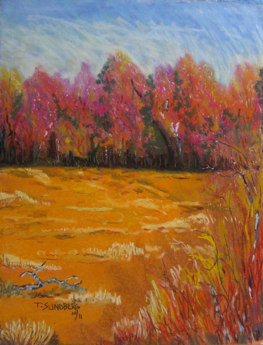 Clutterfield by Thomas Sundberg, Image 12.
