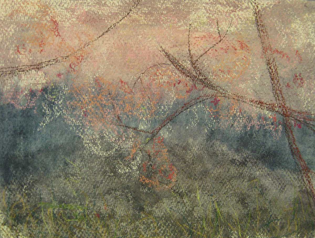 Bloom! by Thomas Sundberg, Image 5.