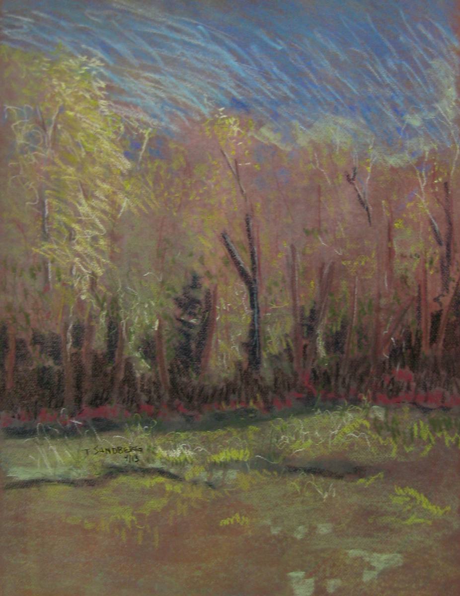 Springing by Thomas Sundberg, Image 4.