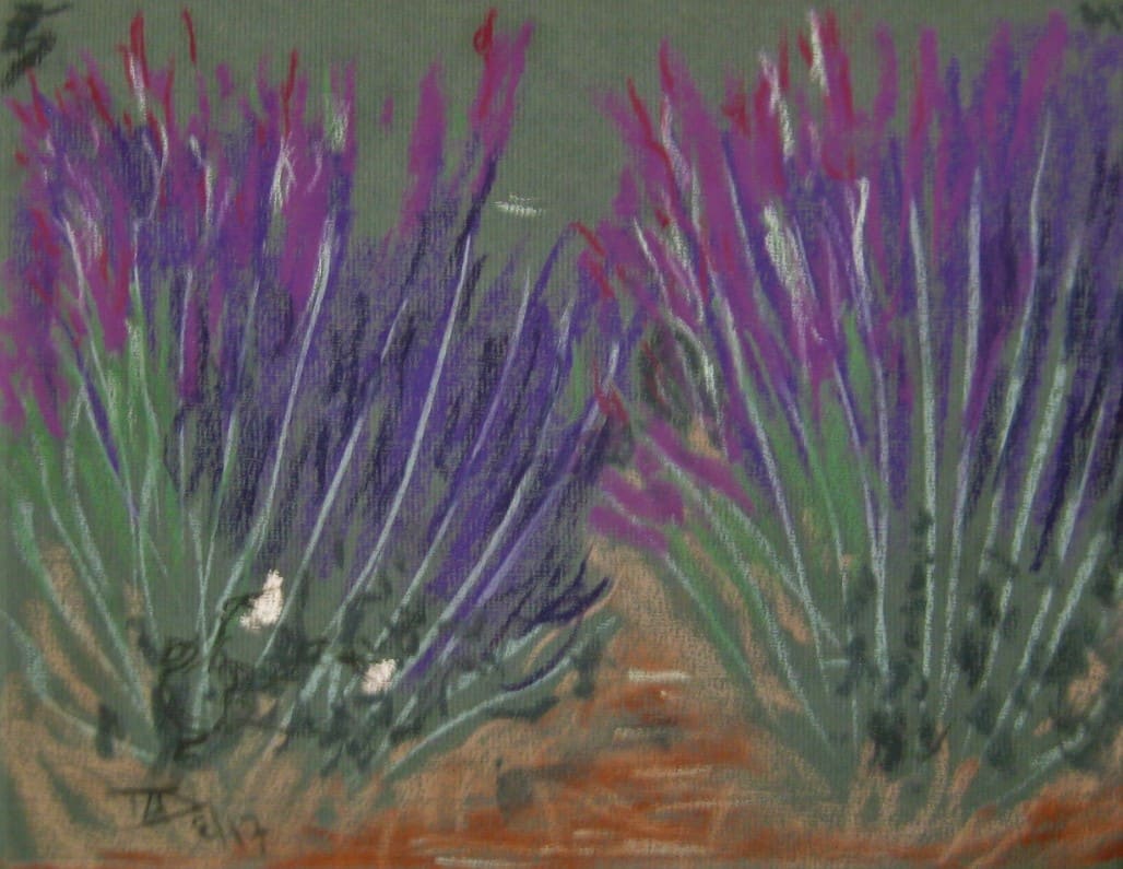 Lavender Adobe by Thomas Sundberg, Image 1.