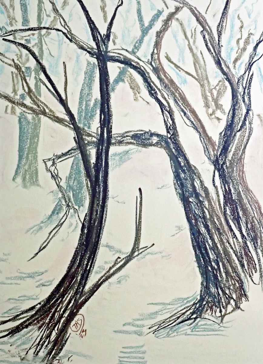 Wintertime's Reach by Thomas Sundberg, Image 5.