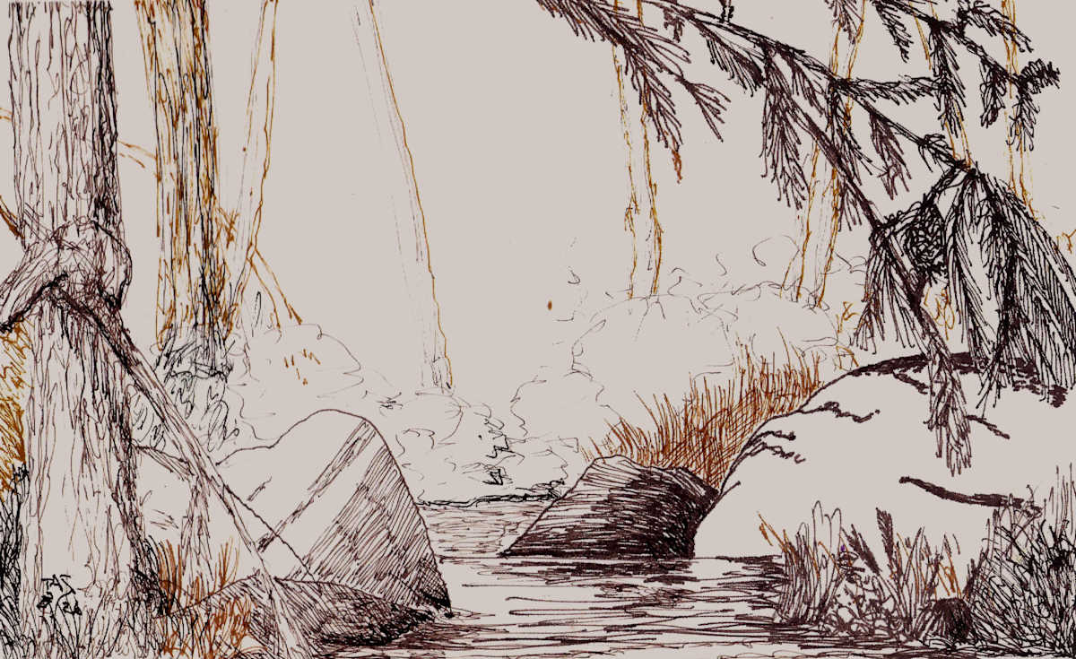 Pond Memory by Thomas Sundberg, Image 1.