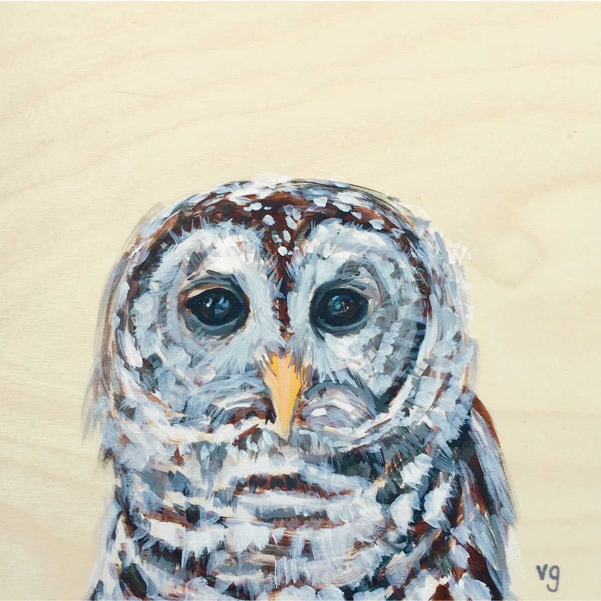 Owl, Image 1.