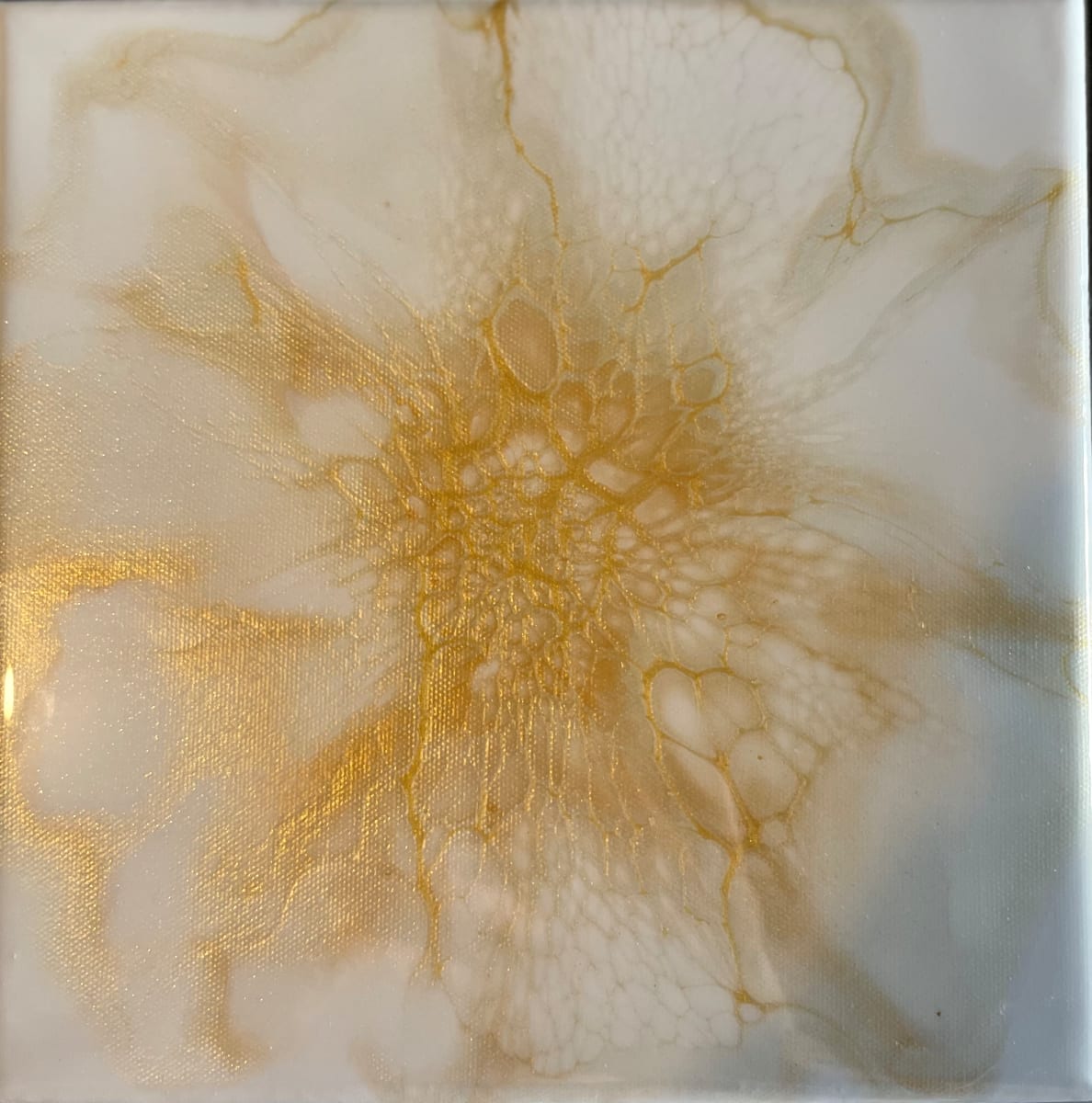 Winter Gold First Bloom by Pourin’ My Heart Out - Fluid Art by Angela Lloyd 