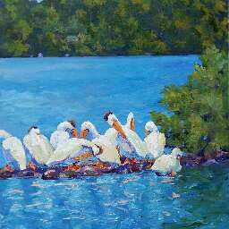 Pelicans Preening on Second Island by Jill Seiler 