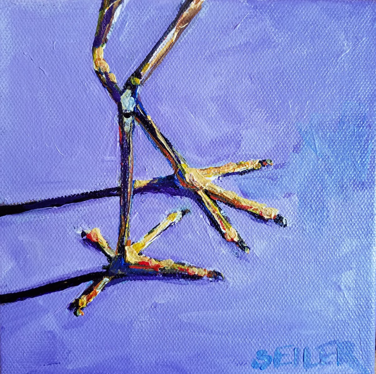 Walk This Way by Jill Seiler 