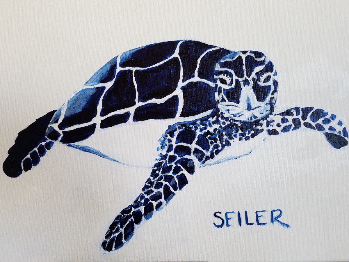 Turtle Graphic by Jill Seiler 