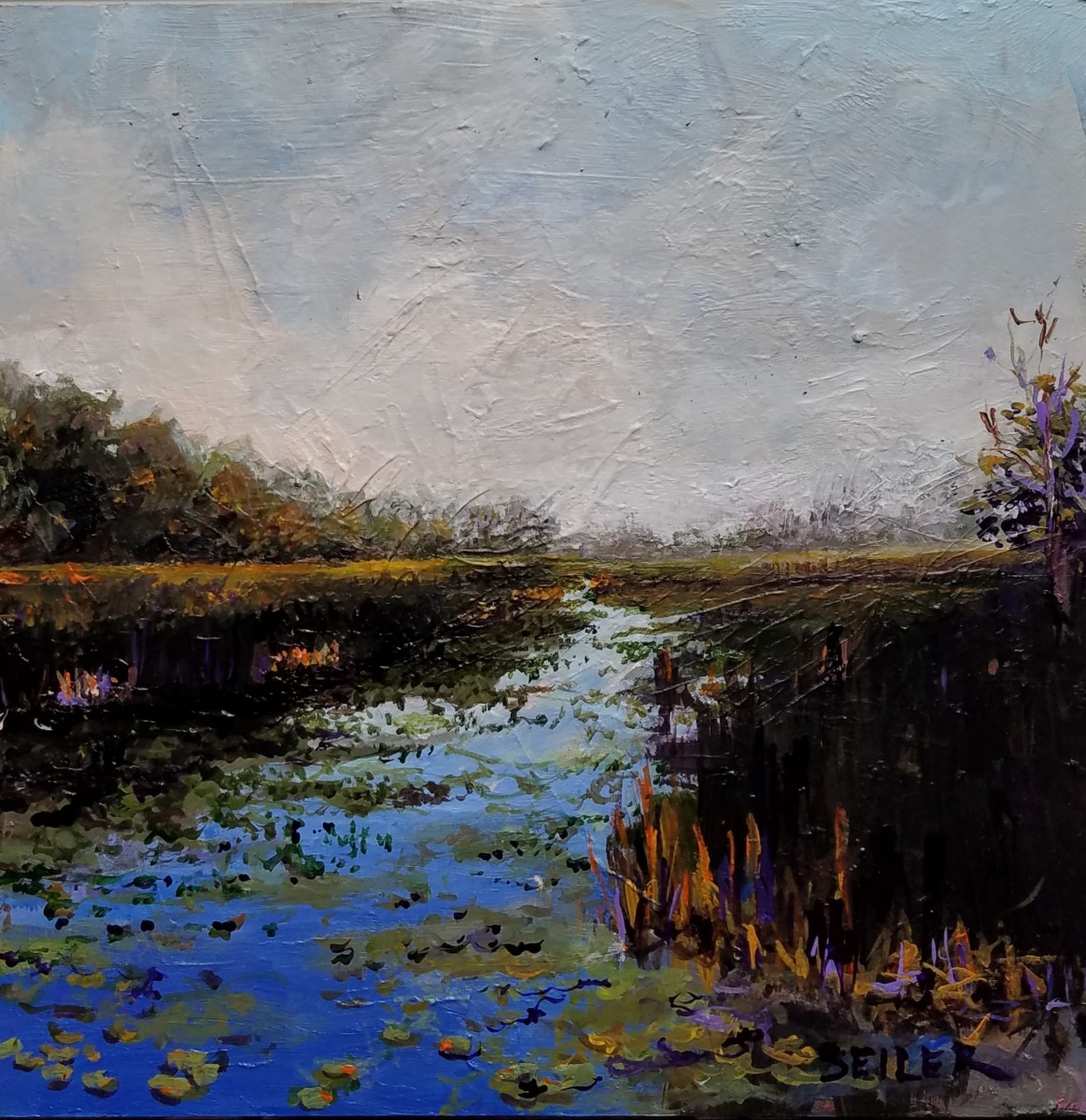 Baywater Outlet by Jill Seiler 