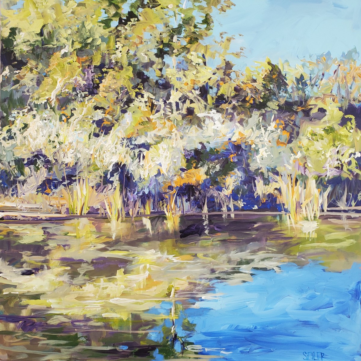 Scrub Oaks and the Mexico Beach Canal by Jill Seiler 