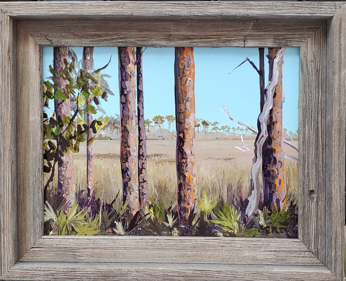 Magic in the Pines  Image: St Joseph State Park