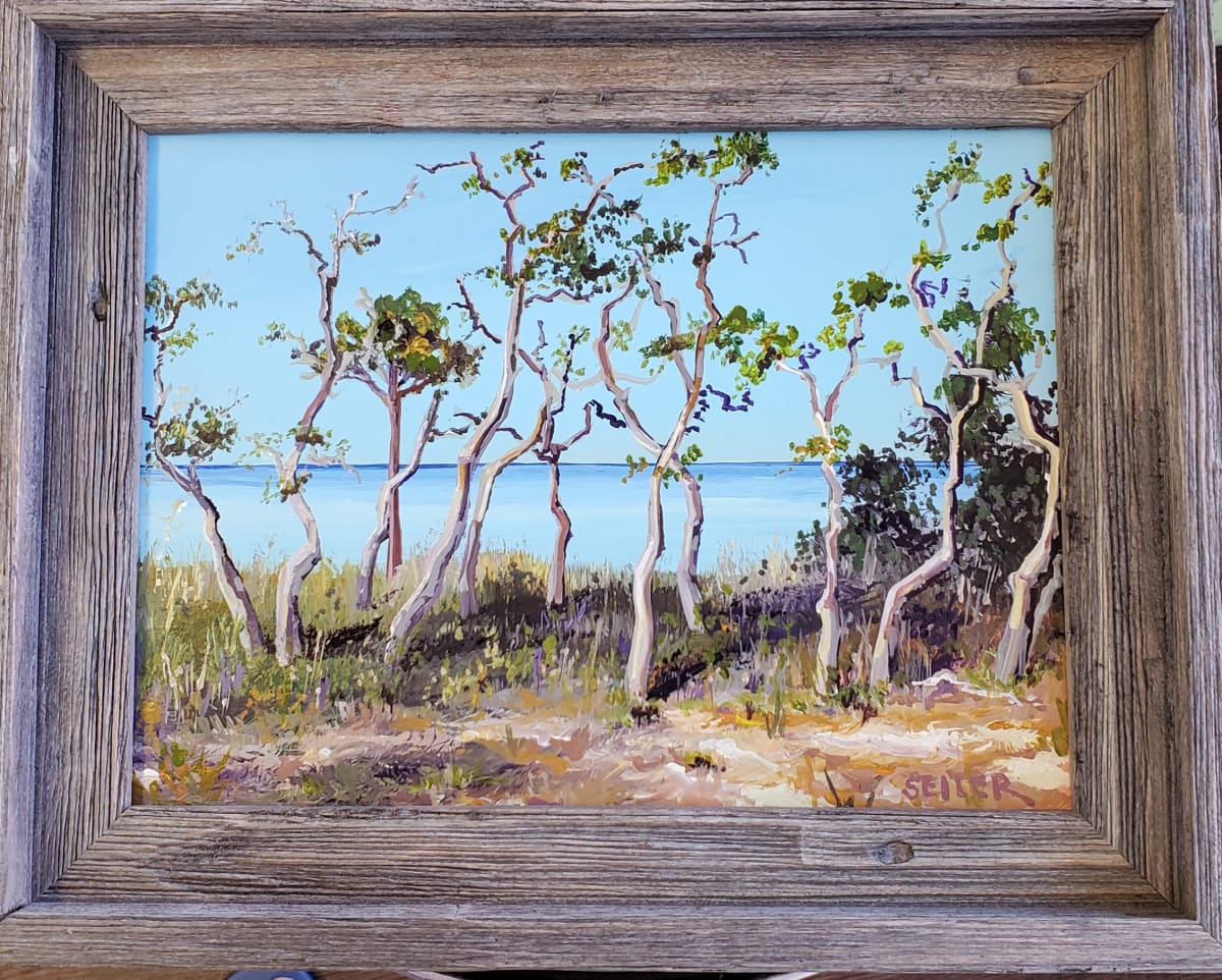 Dancing With The Oaks  Image: Located on Cape San Blas, these are lovely oaks. They remind me of ballet dancers. 
