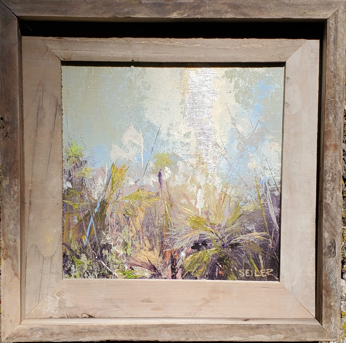 Leave No Trace by Jill Seiler  Image: Leave no trace here as well as the beautiful beaches.  That way everyone feels like it's the first time you get to experience all the beauty. 