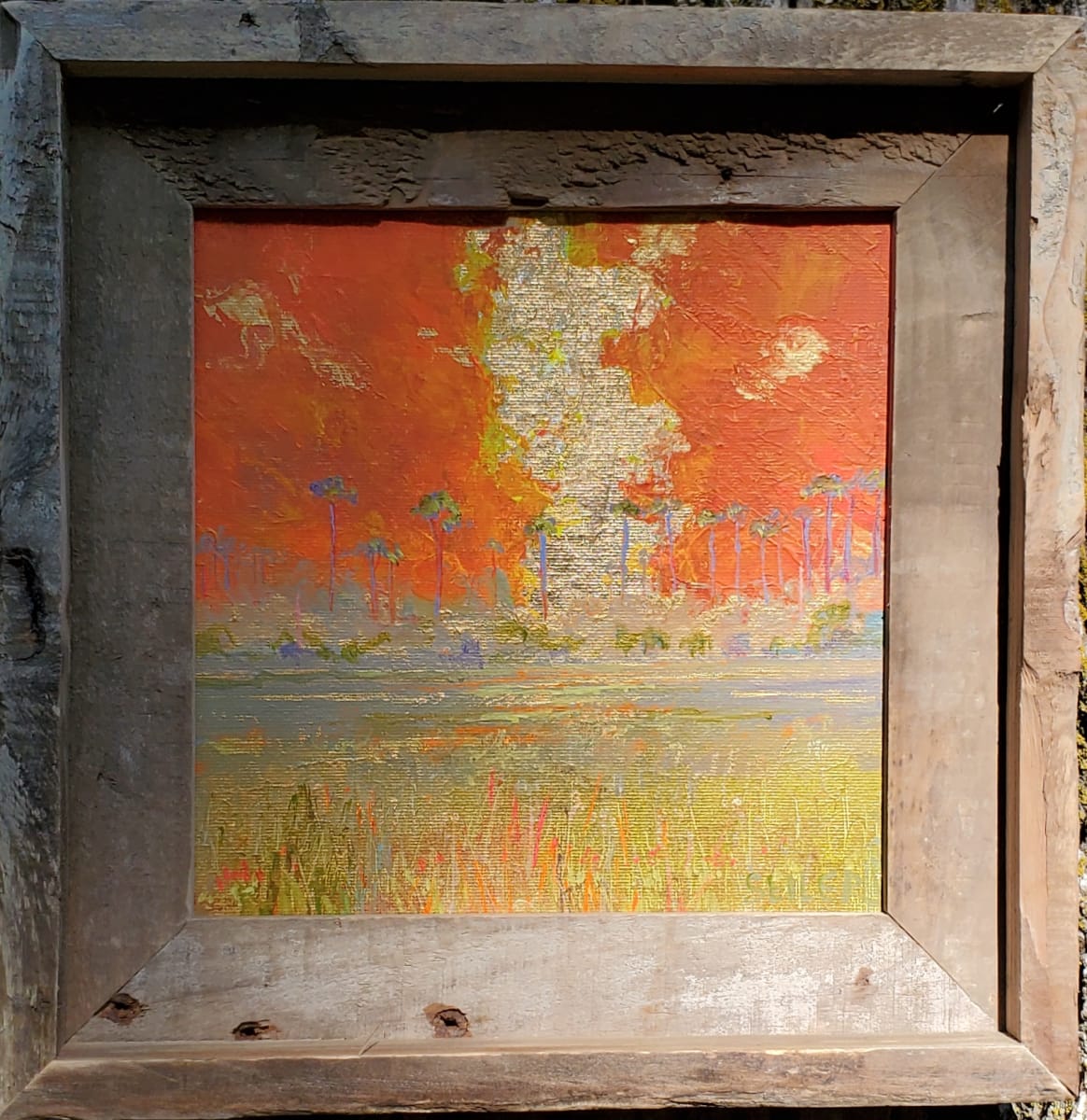 Summer Nights by Jill Seiler  Image: Summer in Florida.  After the rain the sparkle comes out and turns to moonlight. 