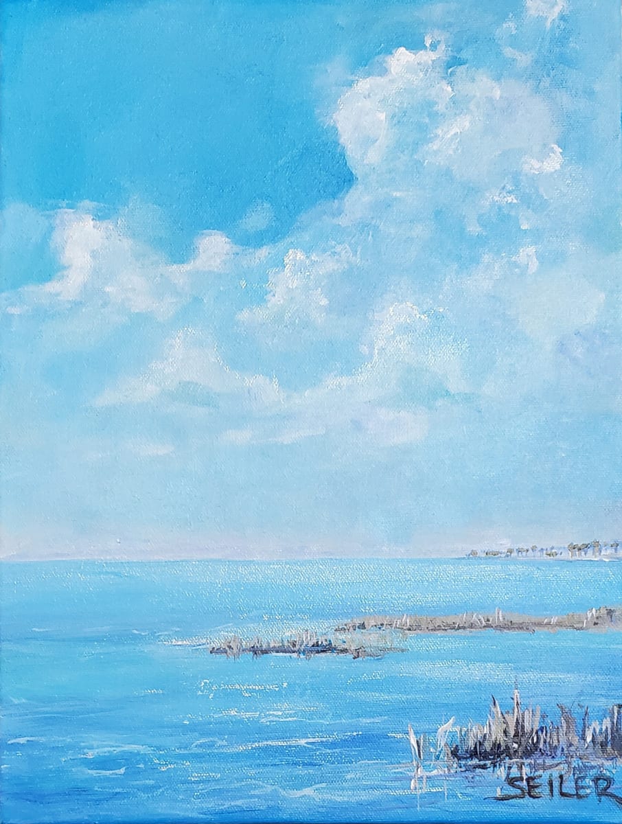 Indian Pass Swamp Grasses Sparkle by Jill Seiler  Image: One of my favorite places on the way to Cape San Blas.  Natural.  Wild. Salty 