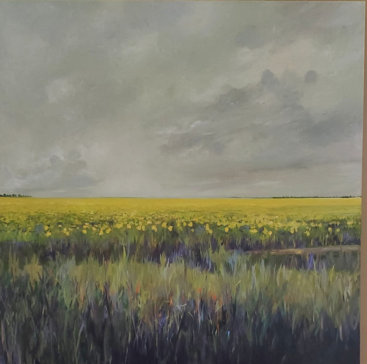 Dreams Are Free by Jill Seiler  Image: Illinois Prarie series.  Kayleigh on the left outside of frame. 