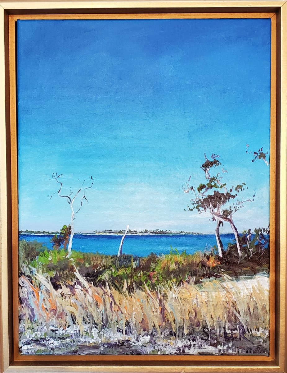 Harbor Peace Hope and Love by Jill Seiler  Image: Cape San Blas has wild natural areas that calm the soul.  Take only pictures,  leave only peace and gratitude. 