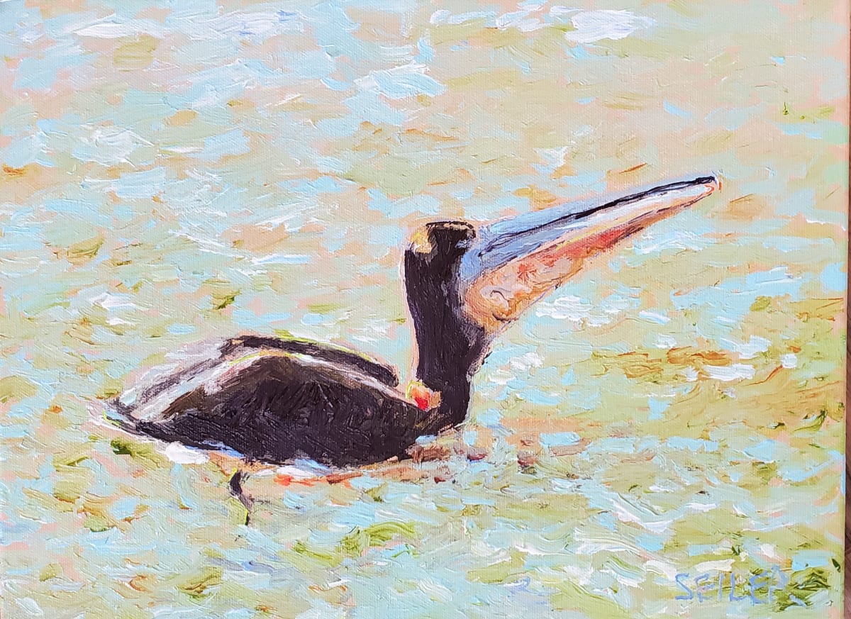 Hungry Young Pelican by Jill Seiler  Image: Nature is tough.  This young Pelican was learning how to sift water out while keeping his catch.  That's important. 