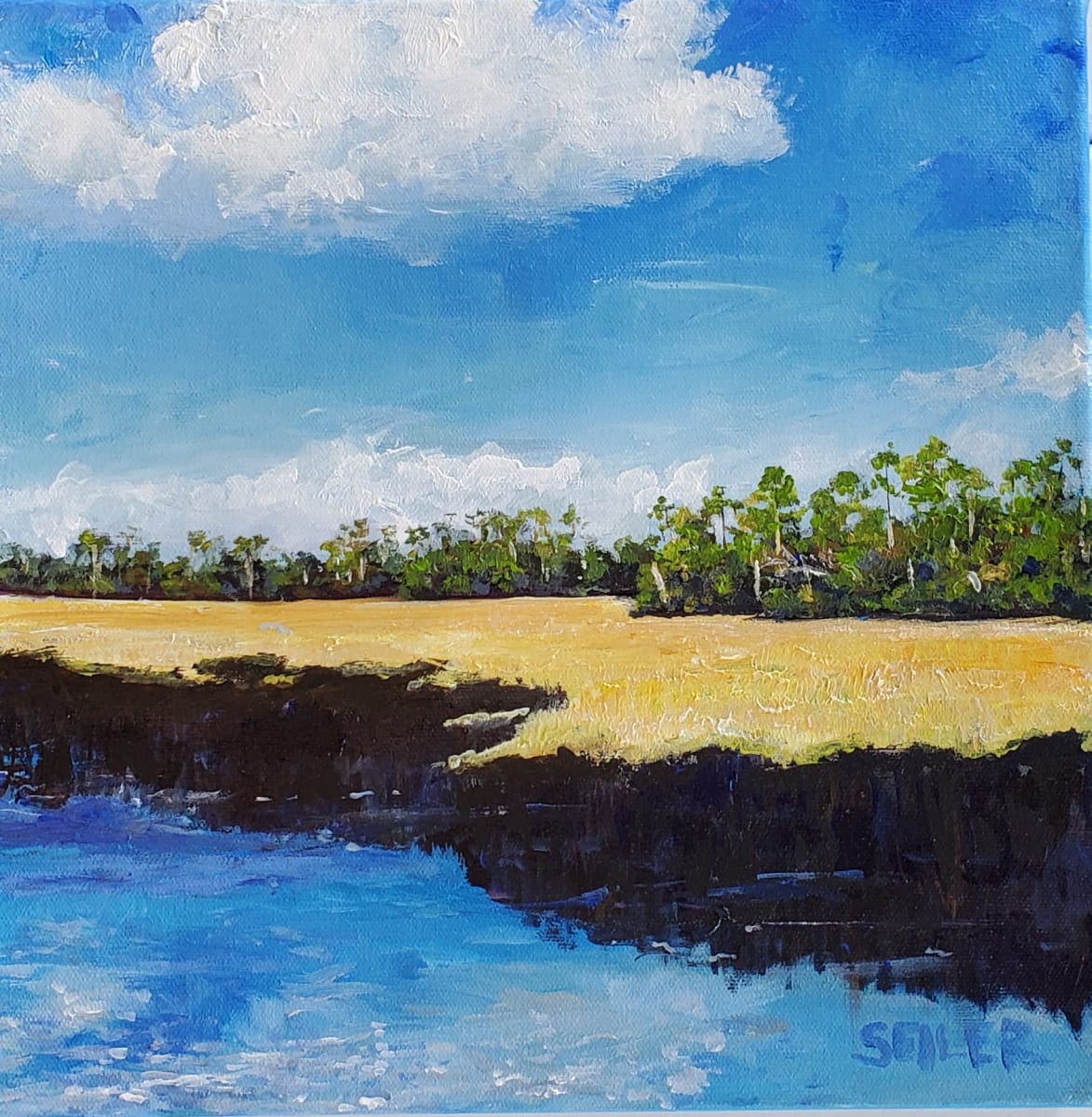 Salt Marsh Mystery by Jill Seiler  Image: I love the wetlands.  Can you imagine the secrets this place keeps. 