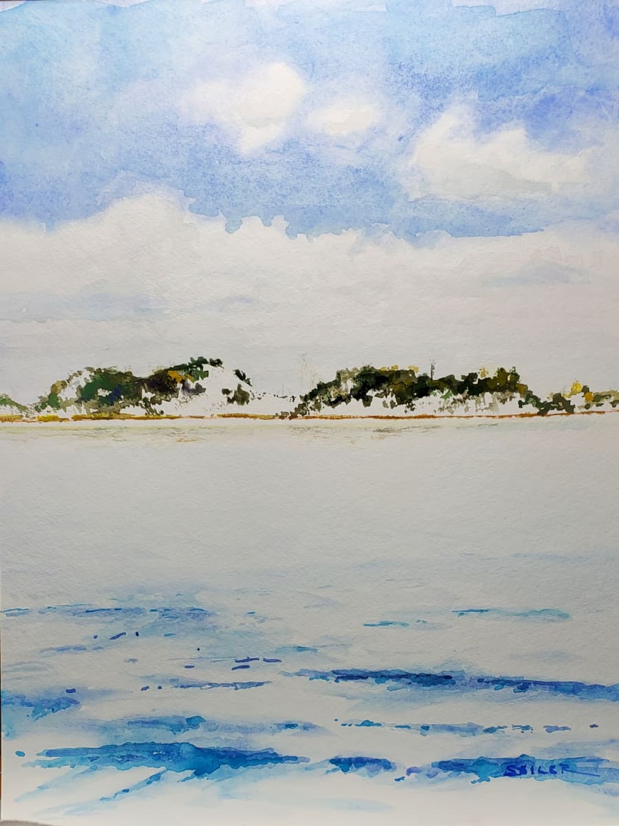 Dunes by Jill Seiler  Image: Cape San Blas dunes are so pretty and so resilient.  I love this place. 