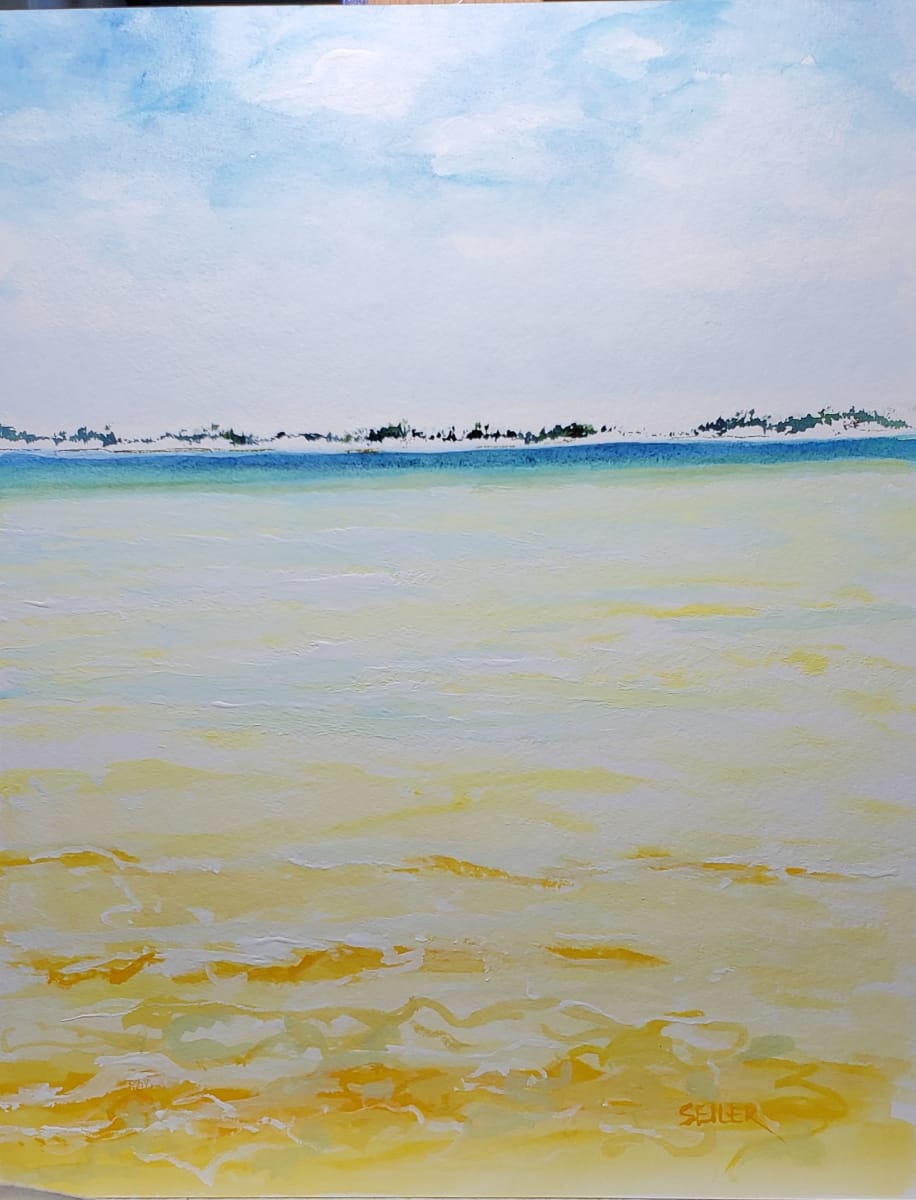 Cape San Blas Shallows by Jill Seiler  Image: I wanted to get closer... not stuck.  St Joseph Bay near the cape is very shallow in spots.  Translucent water and golden sandbars. Enjoy. 