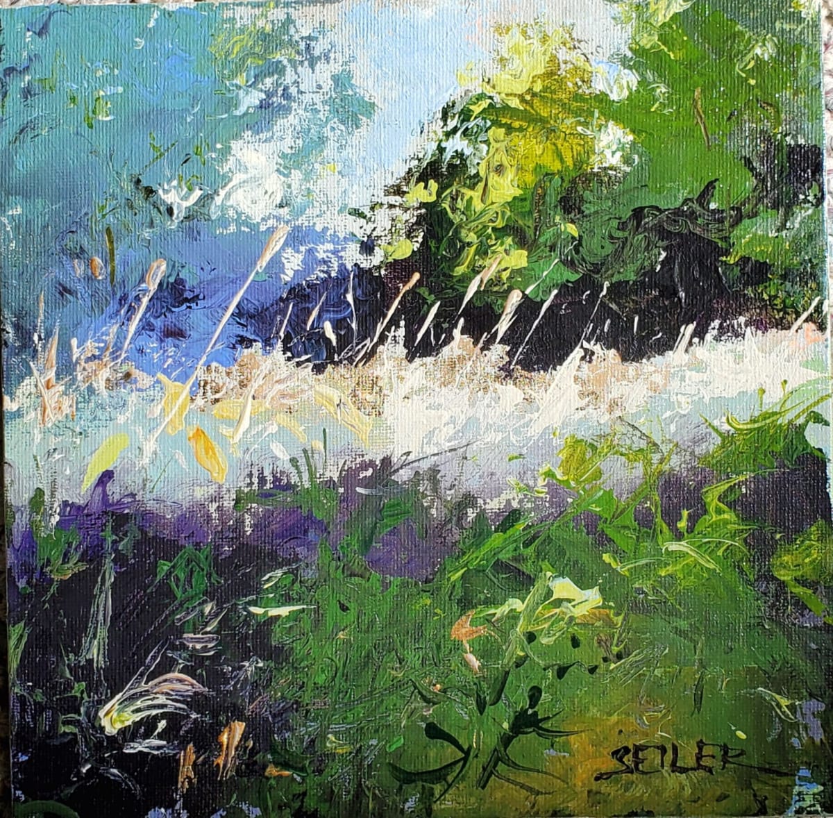 Dreamer by Jill Seiler  Image: Be a dreamer.  You'll be surprised at what you can do.  Stay positive. ✌️