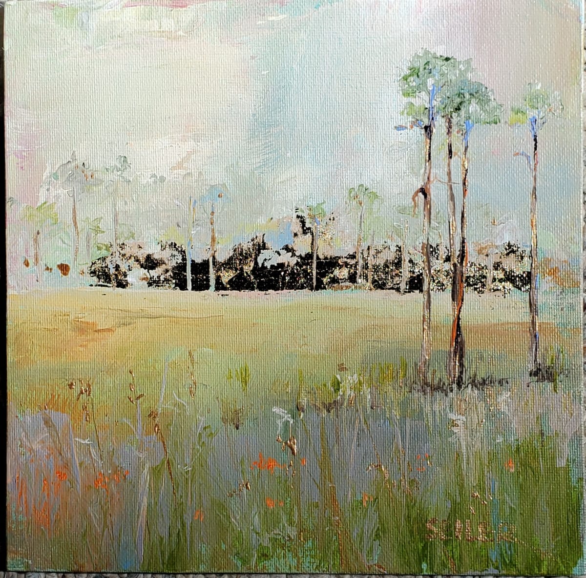 Misty Violets by Jill Seiler  Image: I have to use violets...always. Mixed with greens and orange of course.  Mommas colors.  