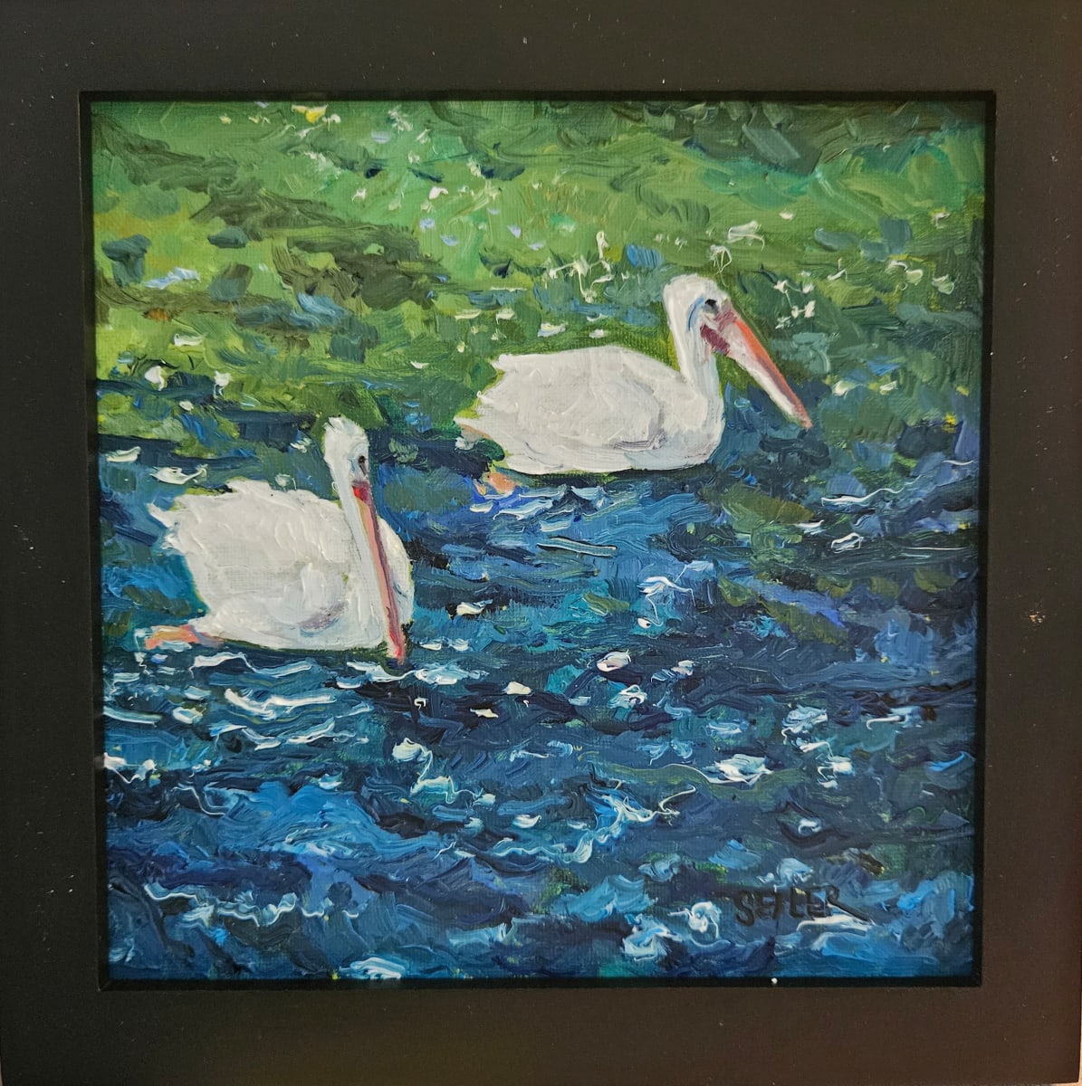 Freinds by Jill Seiler  Image: The juvenile white pelicans usually have a buddy.  Nice to have freinds. 