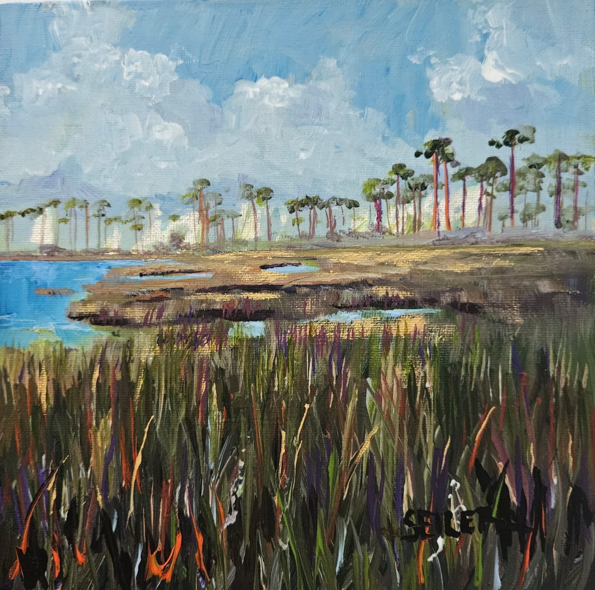 Rainbow Saw Grass by Jill Seiler  Image: The saw grass is multi colored.  I love the smell of the wetlands. 