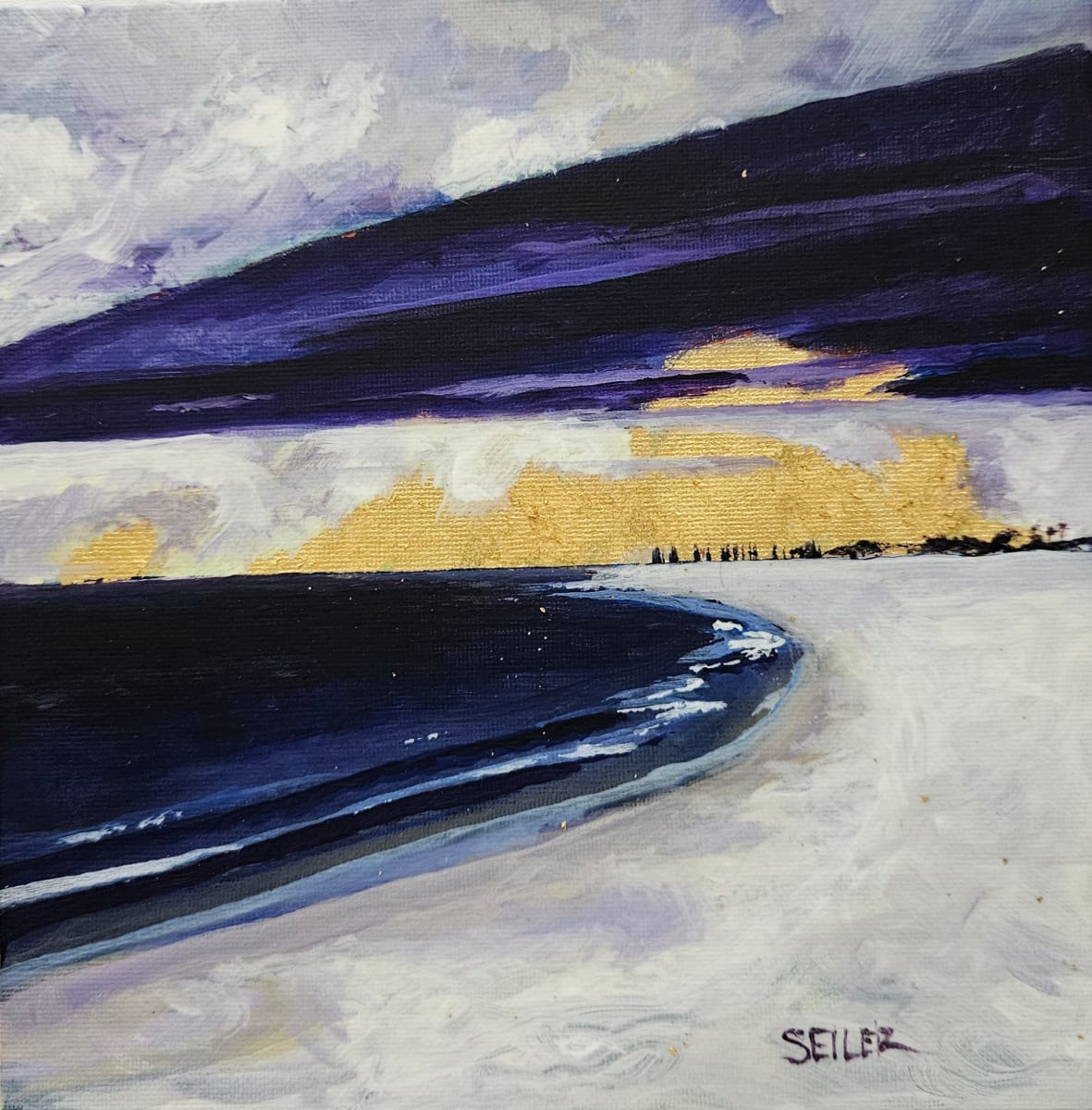 Storm Chasers by Jill Seiler  Image: Florida storm clouds roll in and out fast.  Hope your windows are closed. 