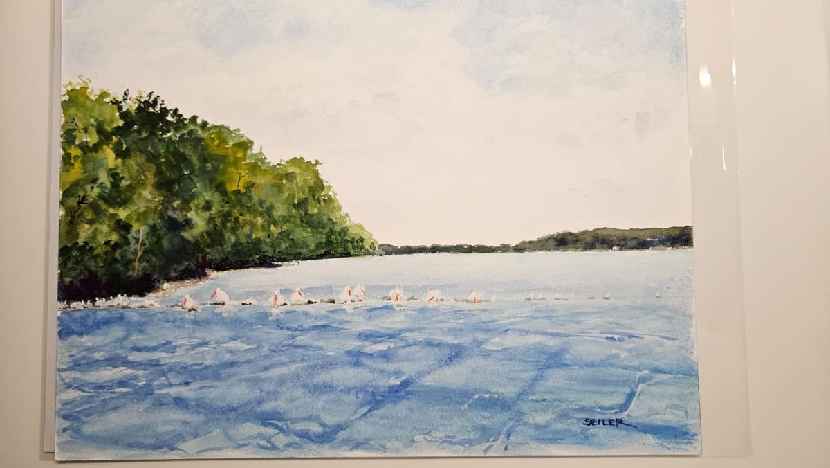Summer Visitors by Jill Seiler  Image: The pelicans on Lake Koronis  are so smart.  Summer on this lake. 