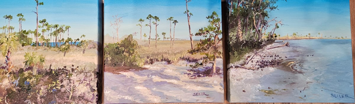 Cape San Blas Triptych by Jill Seiler  Image: Cape San Blas is one of my favorite places.  3 10x10 inch  acrylics.  Such a pretty set. 