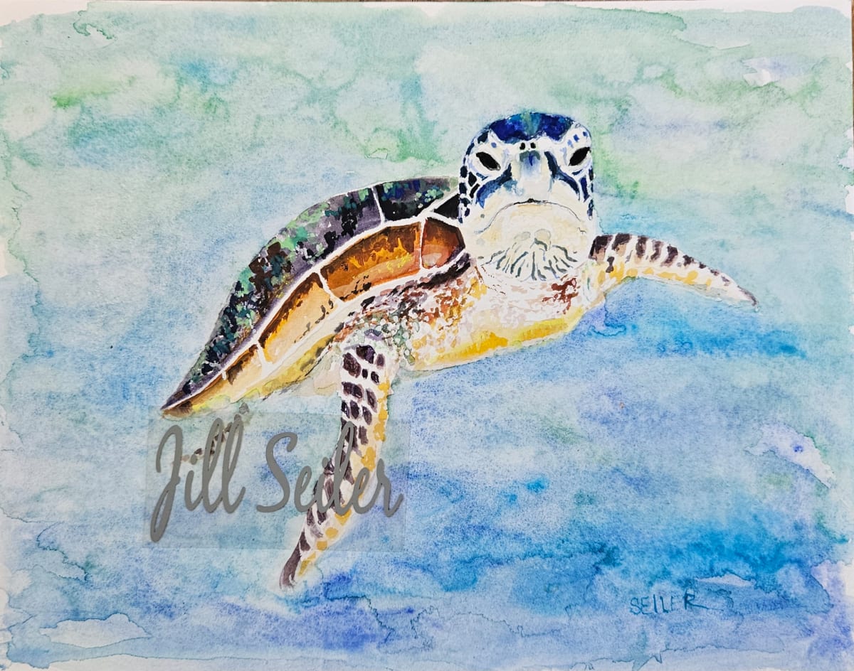 What Are You Lookin At by Jill Seiler  Image: This turtle has some attitude.  Can you see yourself face to face with this beauty.  