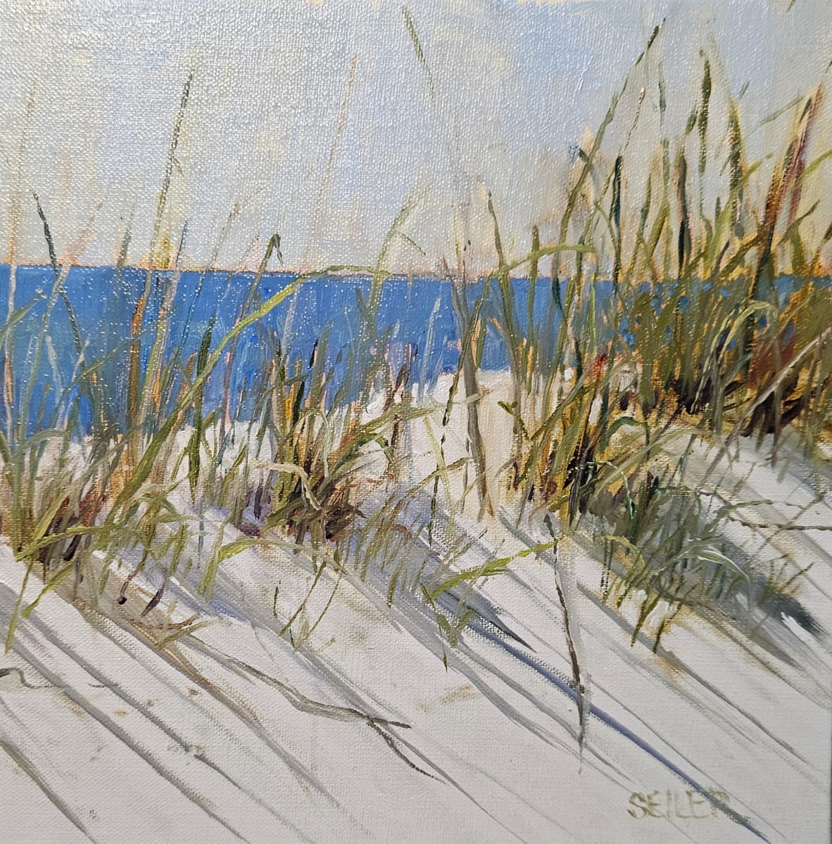 Dune Queen by Jill Seiler  Image: The dunes on Cape San Blas.  I love the sound. The salt air.  The sunshine. The dunes move and sway in the breeze.  Love it. 