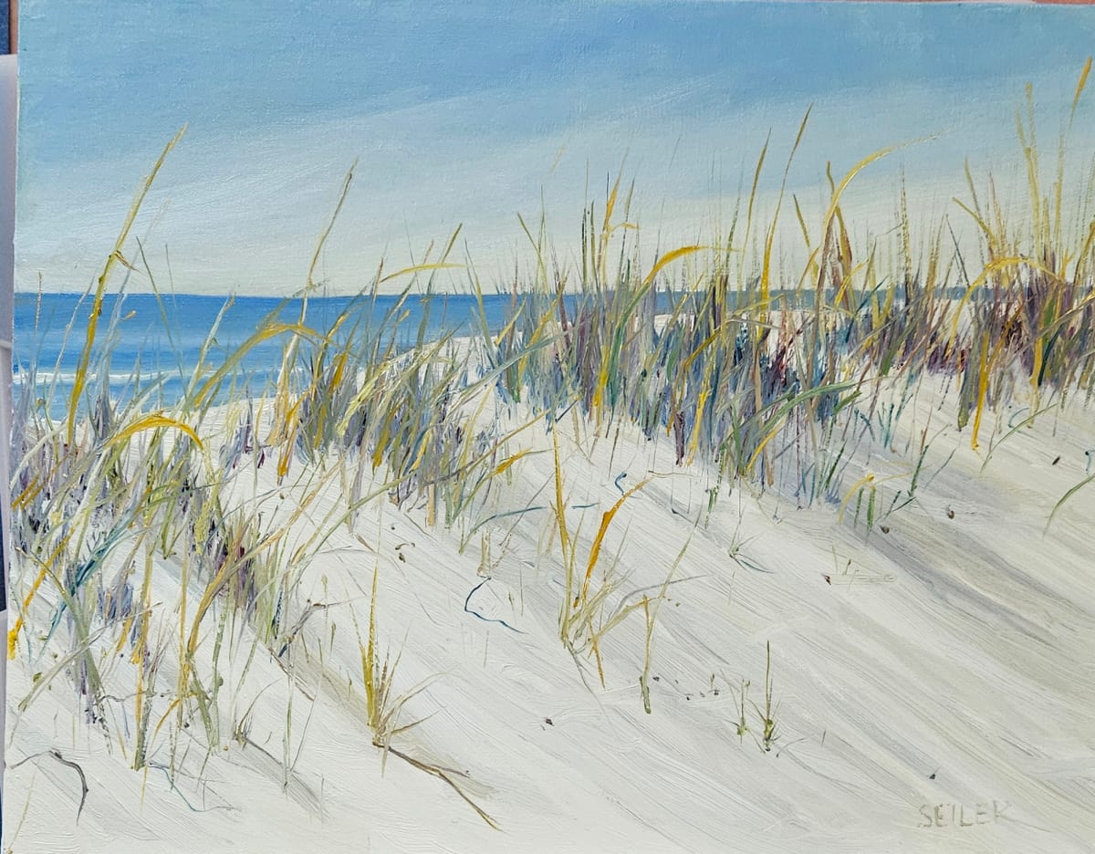 Can You Hear The Wind by Jill Seiler  Image: Soft and Breezy.  Please don't walk across the  dunes. It's a fragile system,  it's what we have to protect the shoreline.  Lots of critters call it home. 