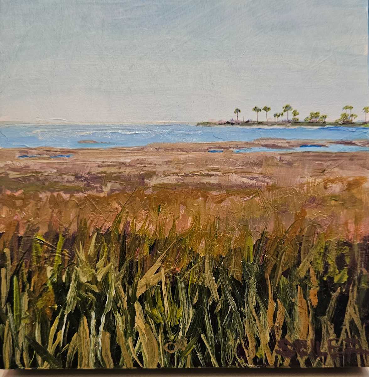 St Joe Bay Morning by Jill Seiler  Image: I love the bay.  So calm.  Sparkly 