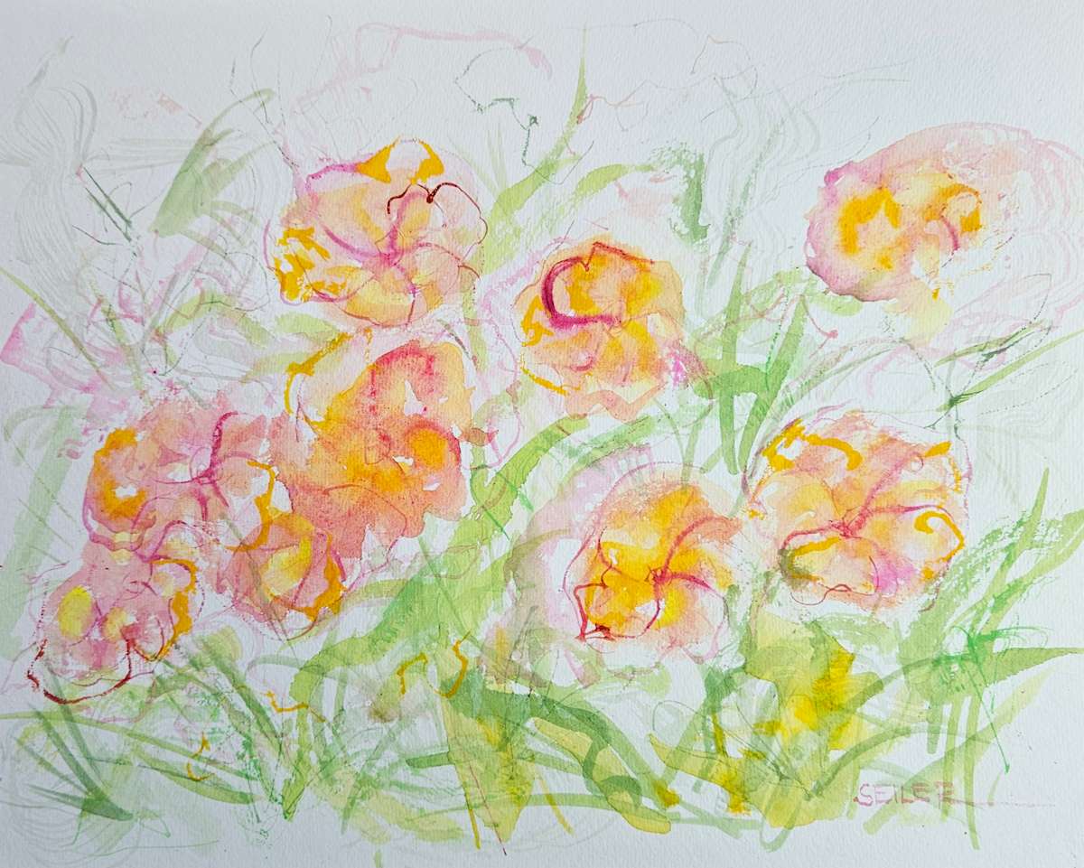 Happy  Rynunculus by Jill Seiler  Image: Love love love