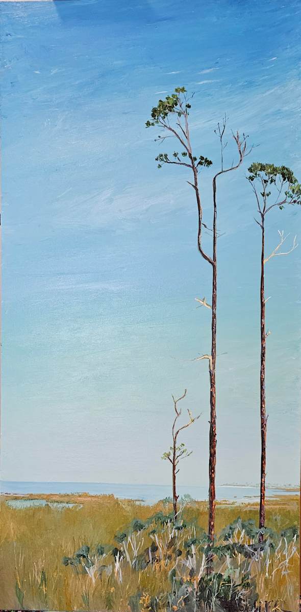 Pine Monument by Jill Seiler  Image: These are my favorite trees in Florida.  Resilience and Tall. Love them