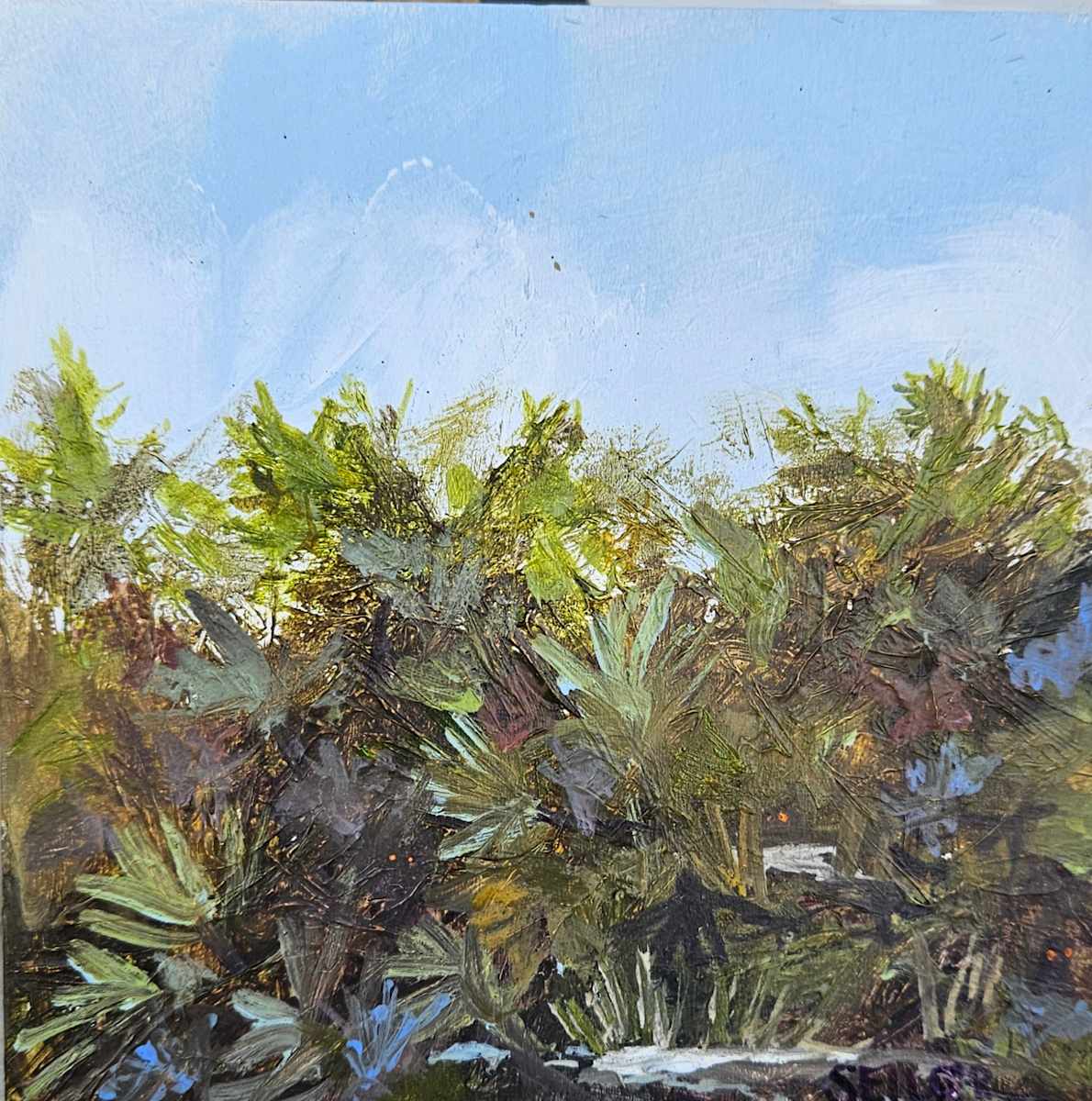 Look closely by Jill Seiler, Image 1.