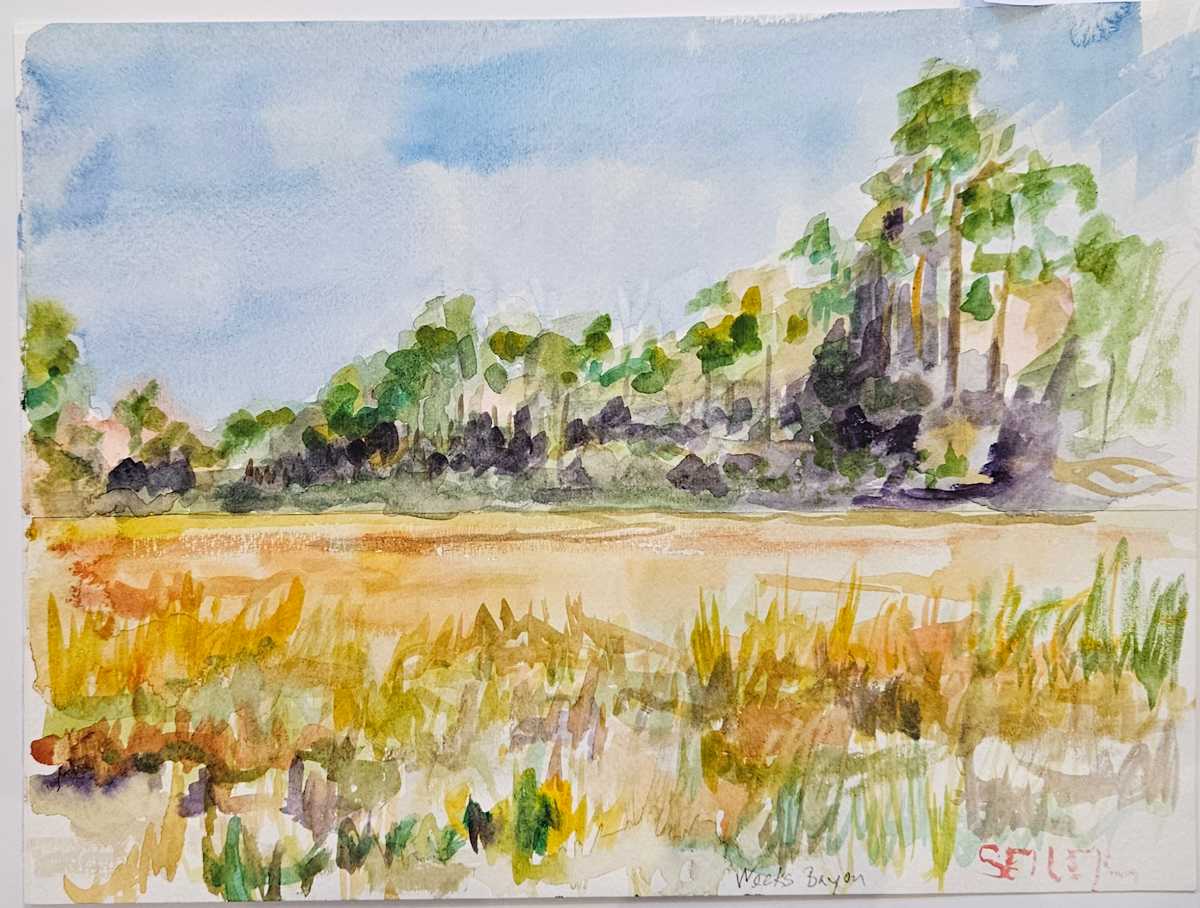 Weeks Bayou by Jill Seiler, Image 1.