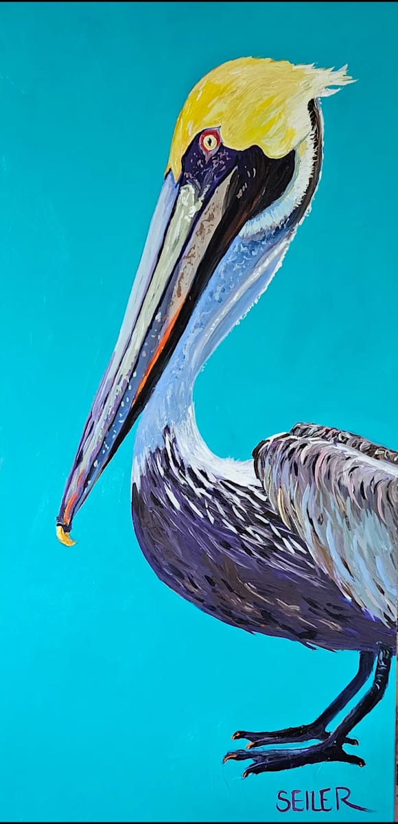 Daytime Pelican by Jill Seiler  Image: These are the coolest bird.  I love the wildlife. 